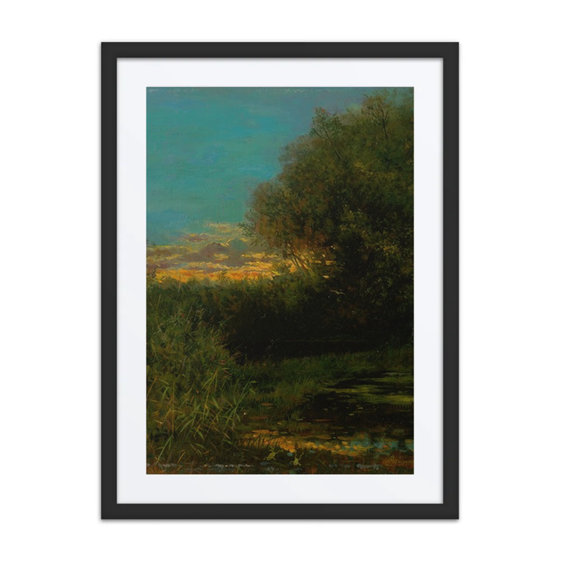 Sunset and Tree Shade