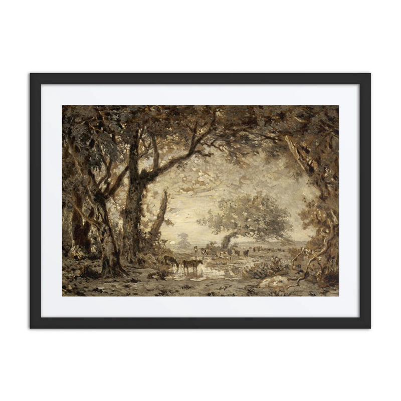 Sunset from the Forest of Fontainebleau