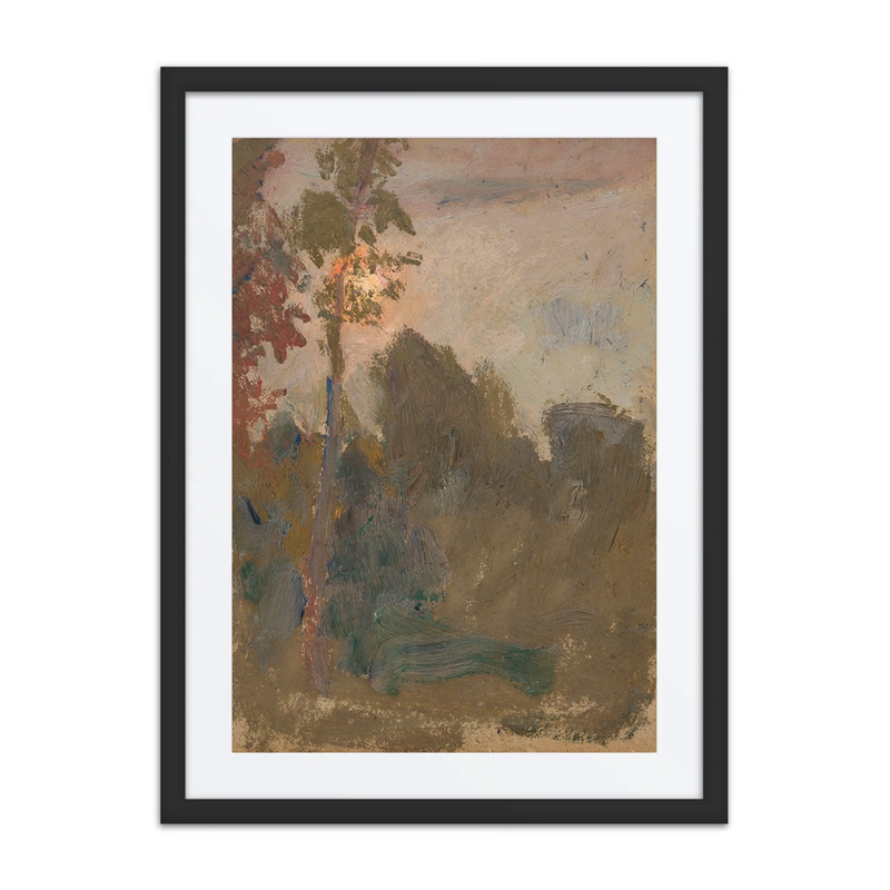 Sunset in a Forest