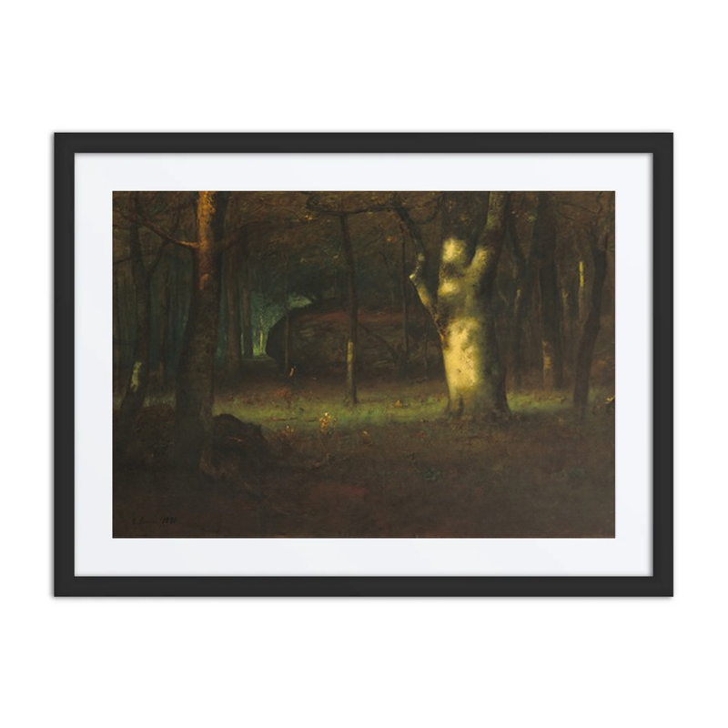 Sunset in the Woods