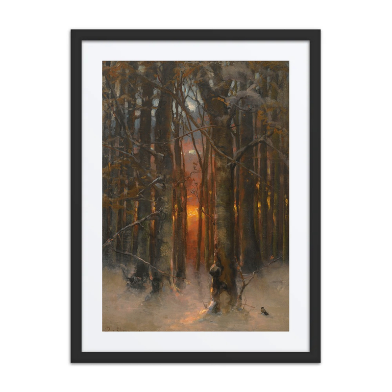 Sunset Through the Trees