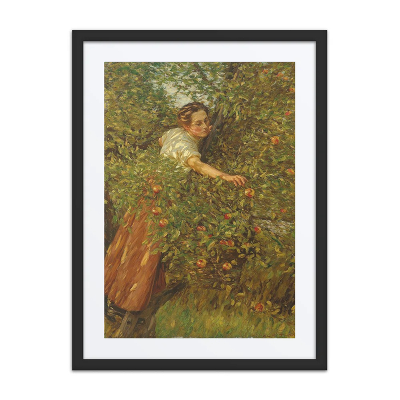 Sussex Apples