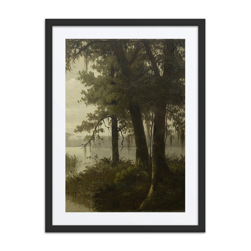 Swamp Scene
