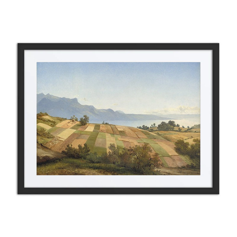 Swiss Landscape
