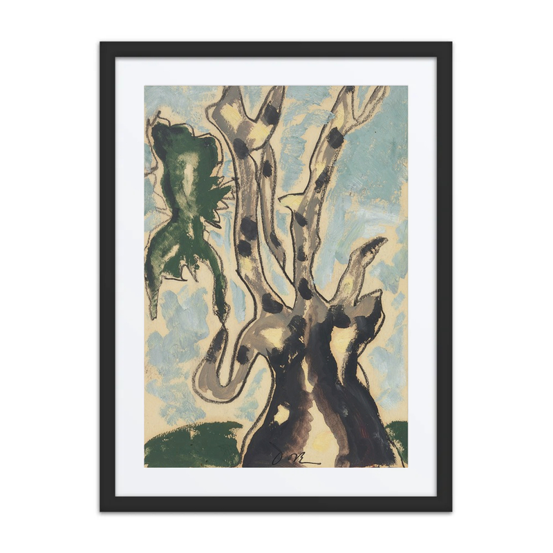 Sycamore