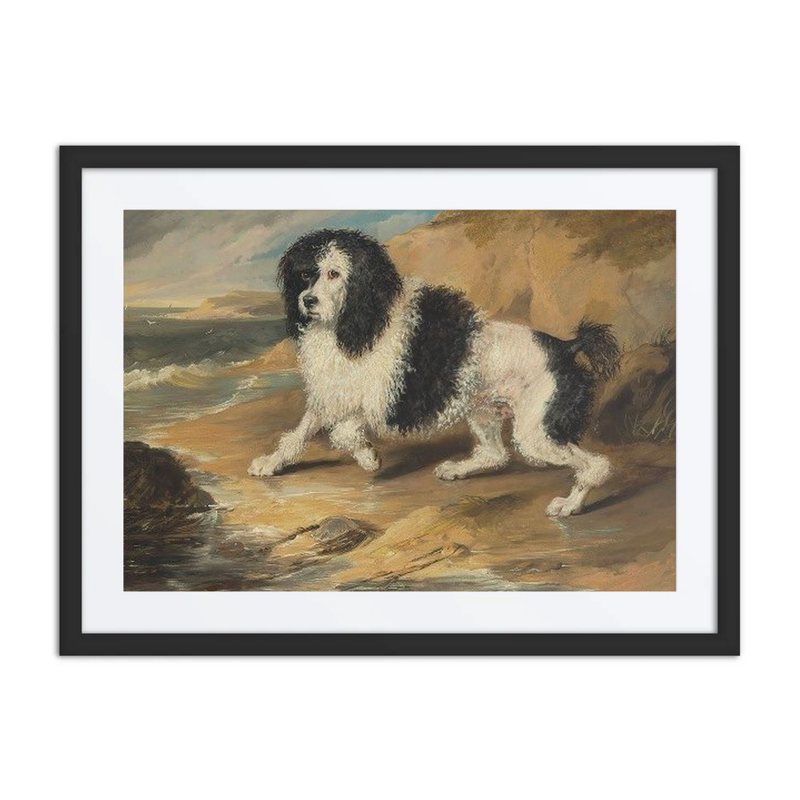 Tapageur, the Poodle