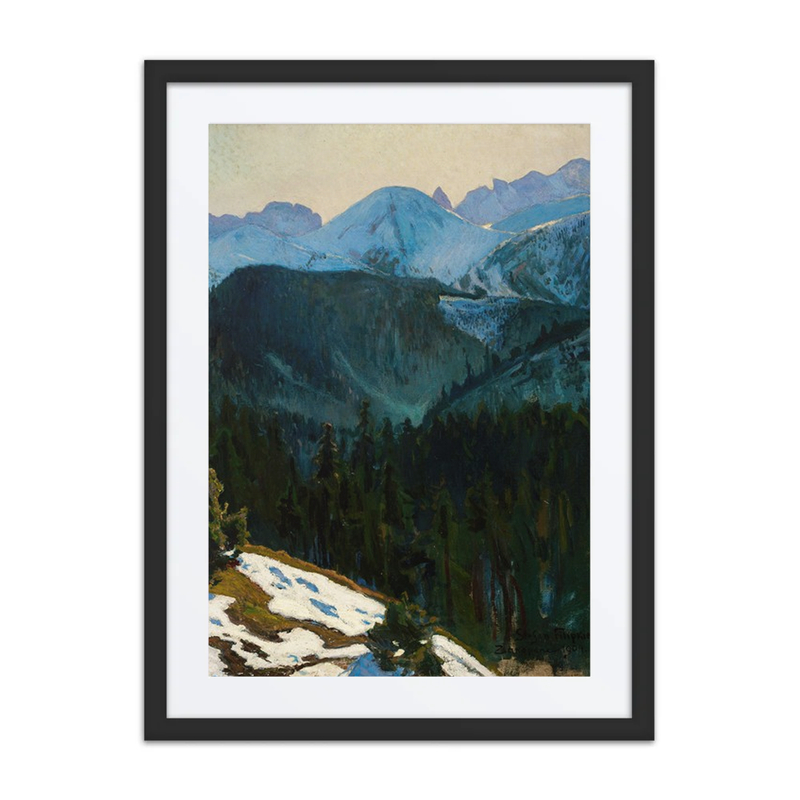 Tatra Mountain View
