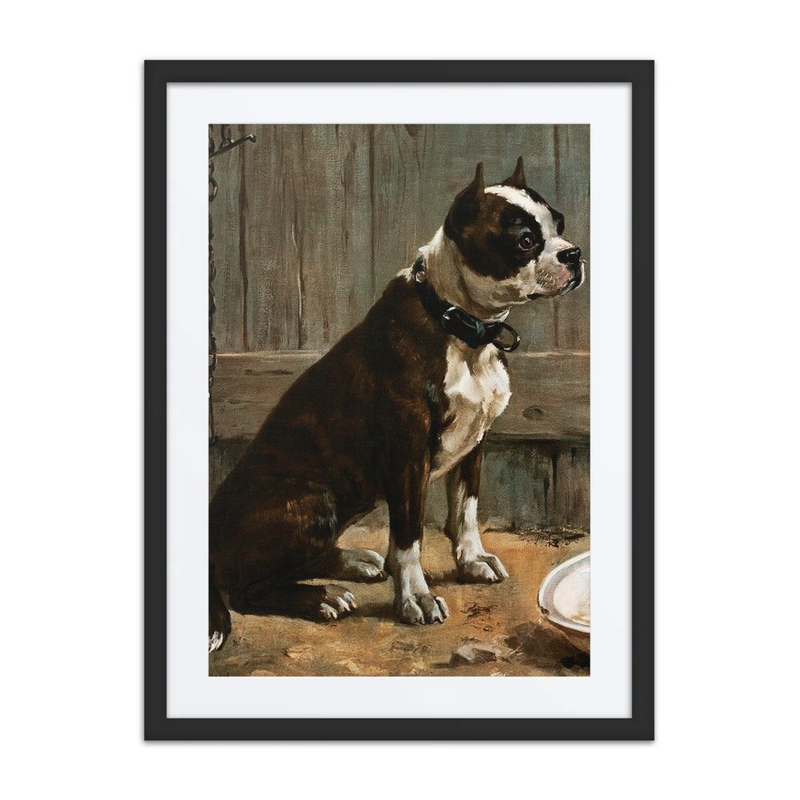Terrier Seated