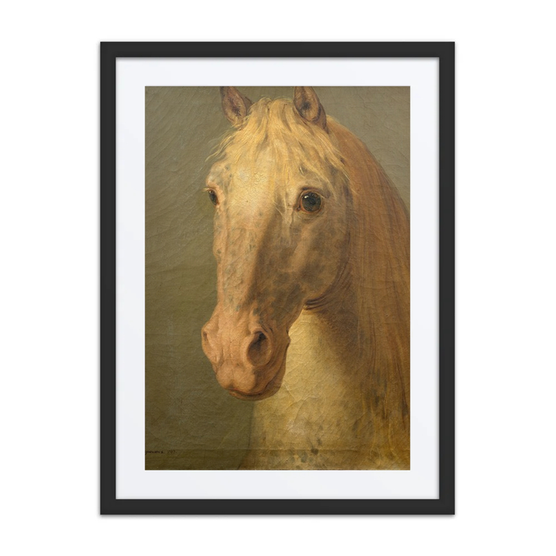 Tête de Cheval Blanc