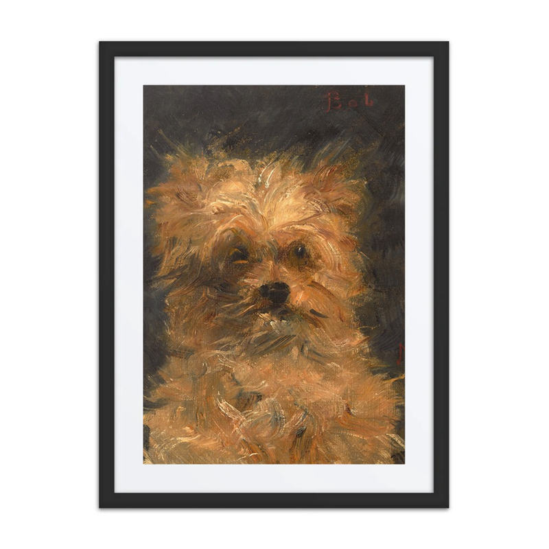 Tête du Chien ‘Bob’
