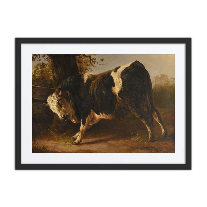 The Angry Bull