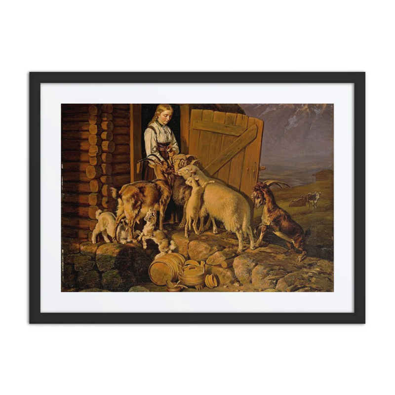 The Animals Are Given Salt