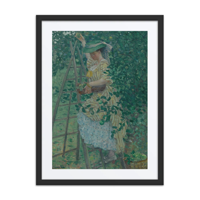 The Apple Tree