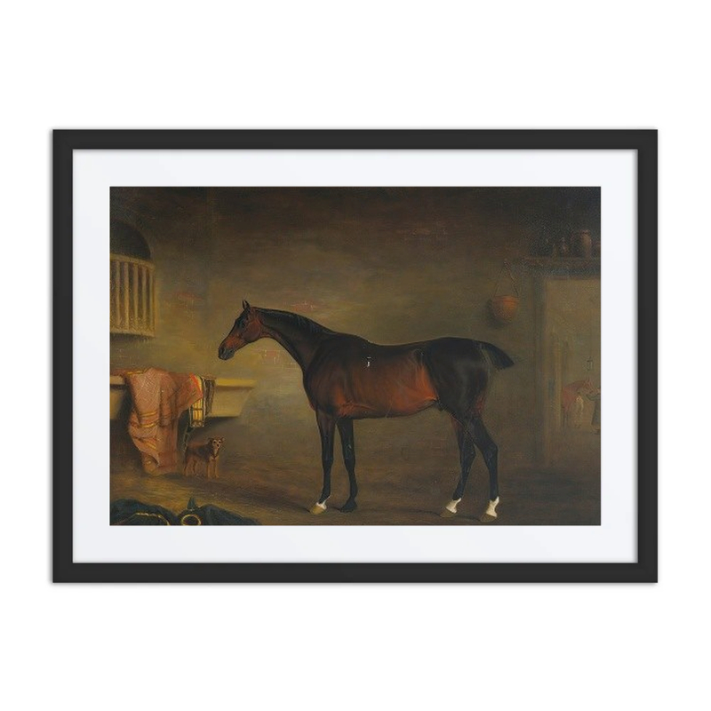 The Bay Easton in His Stable