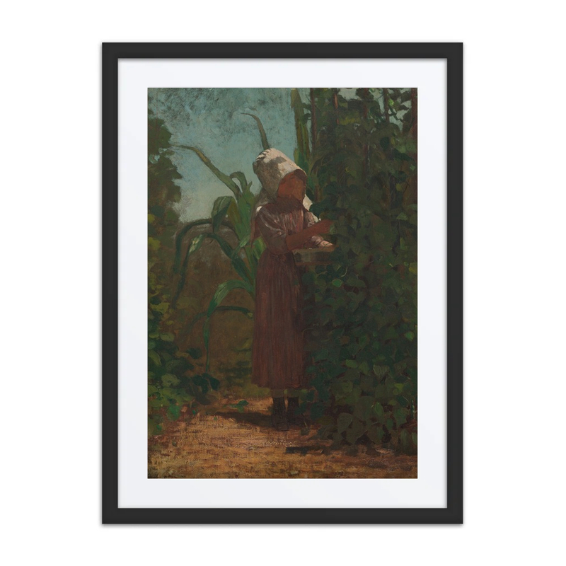 The Bean Picker