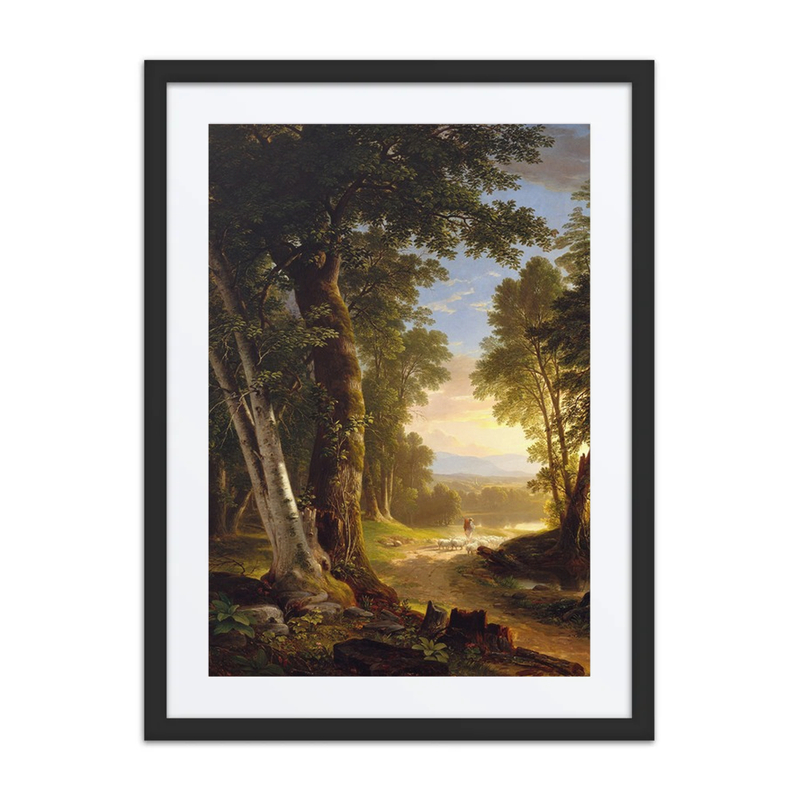 The Beeches