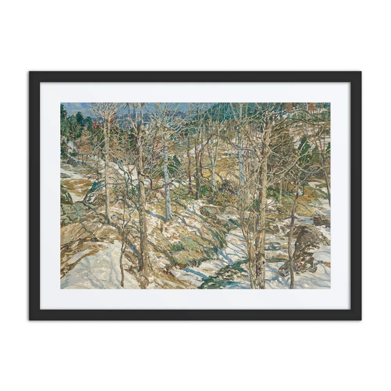 The Birches (the Ravine)