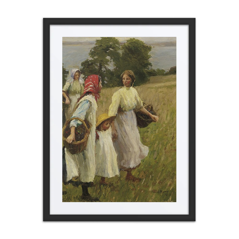 The Blackberry Harvest