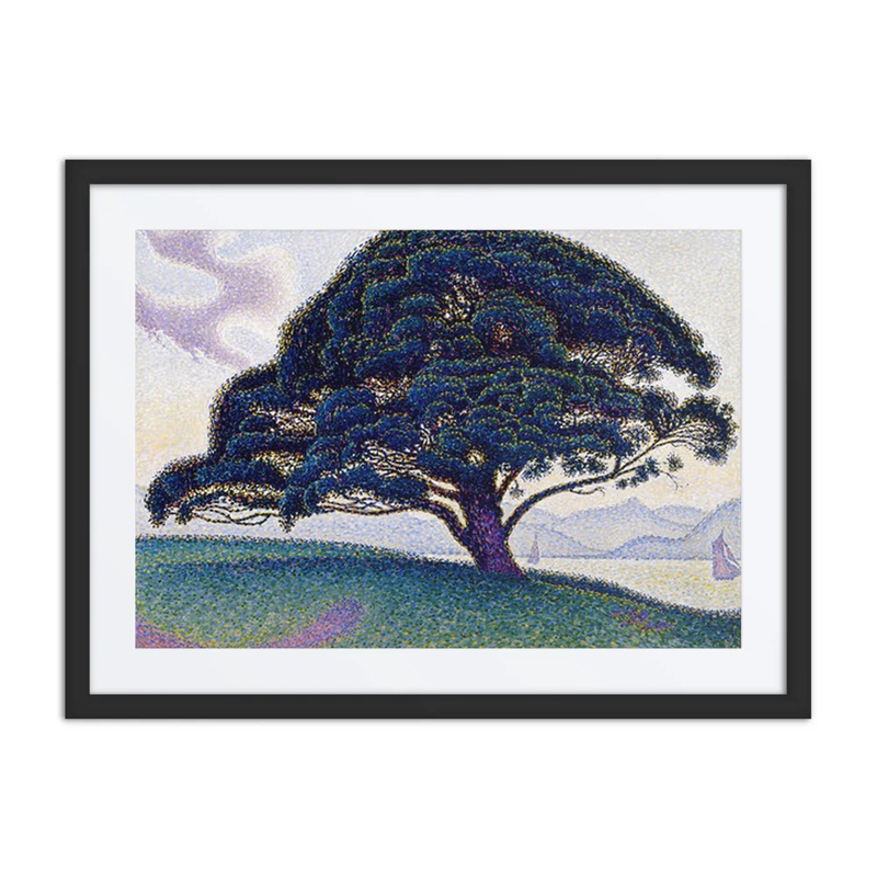 The Bonaventure Pine