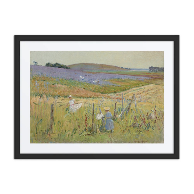 The Butterfly Catchers