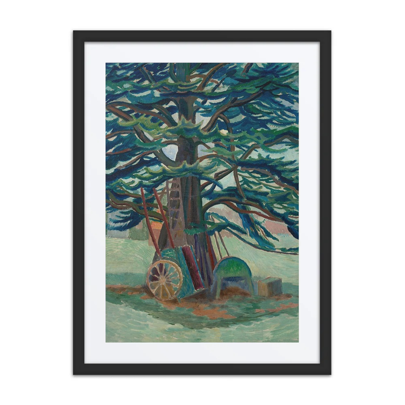 The Cedar Tree at Tidmarsh