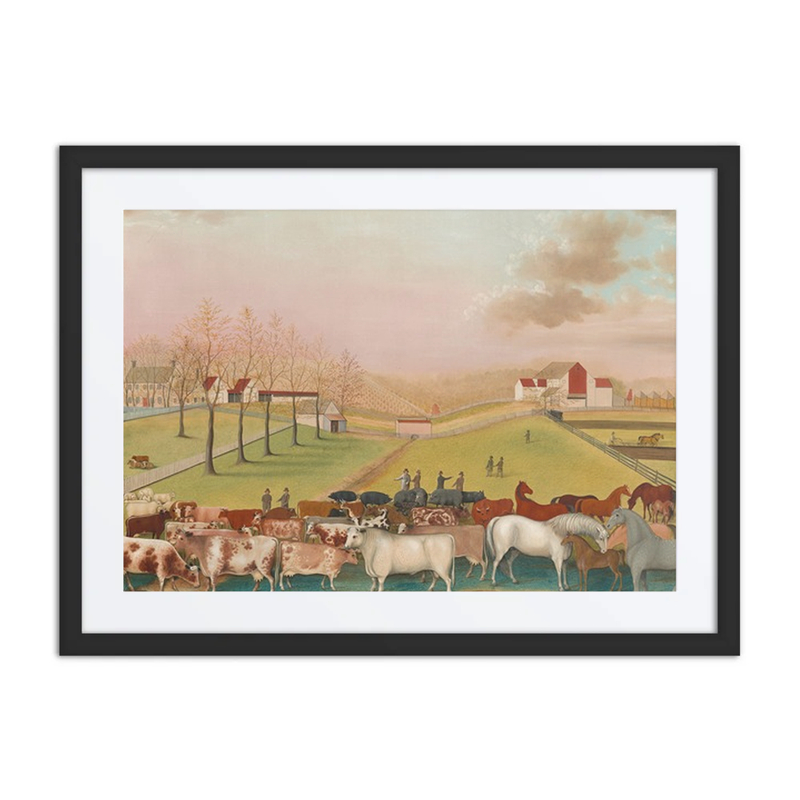 The Cornell Farm