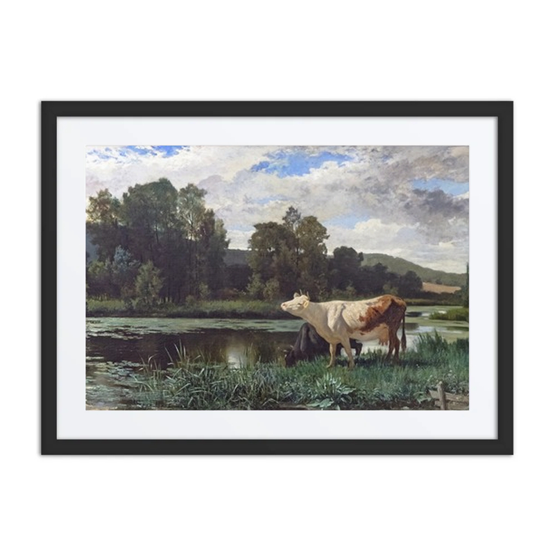The Cows