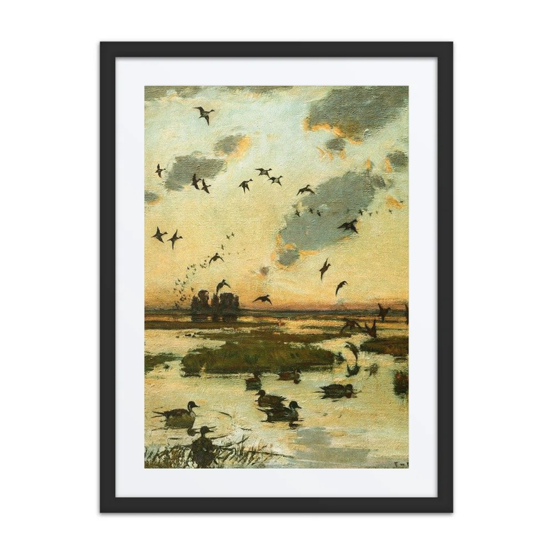 The Duck Marsh