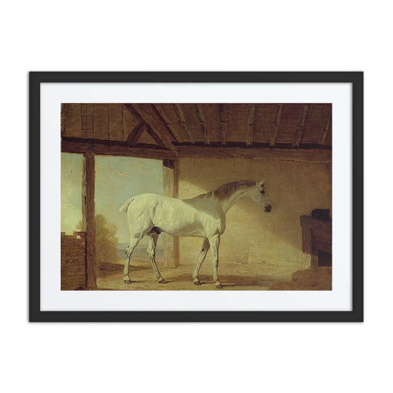 The Earl of coventry’s Horse