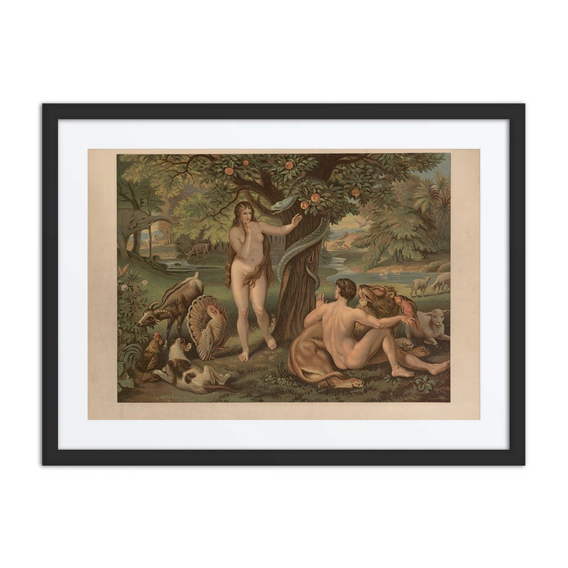 The Fall of Man