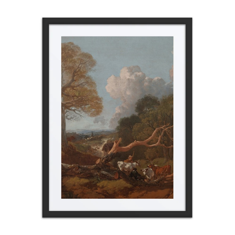 The Fallen Tree