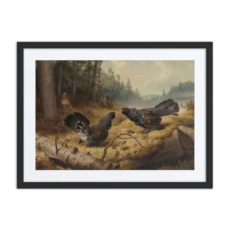 The Fighting Capercaillies