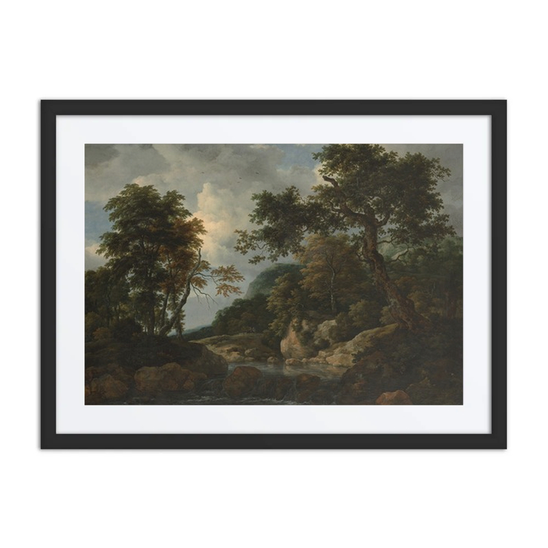The Forest Stream