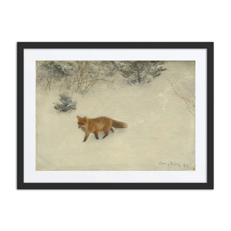 The Fox