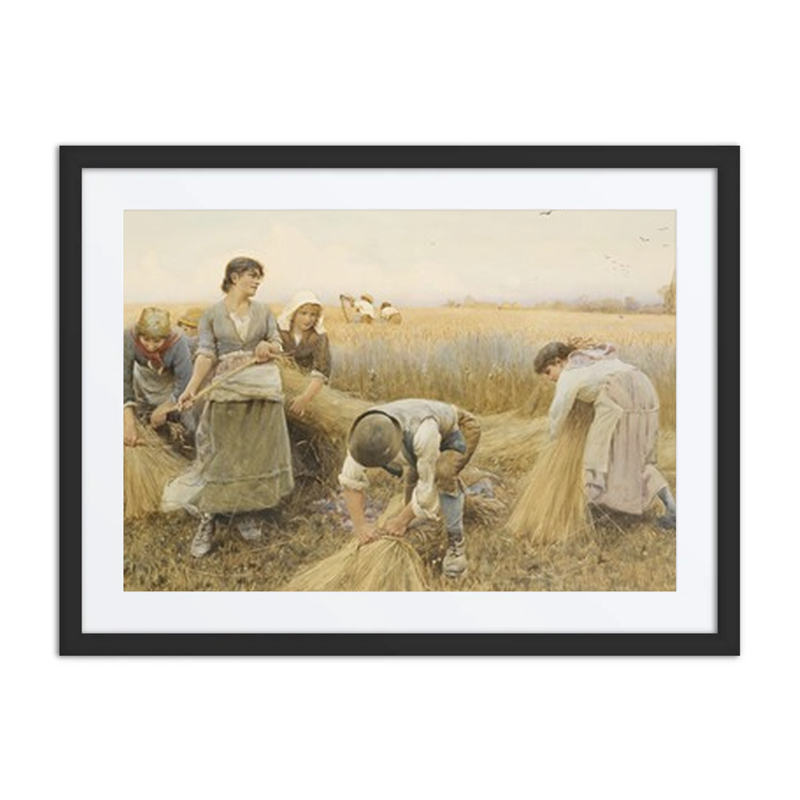 The Golden Grain