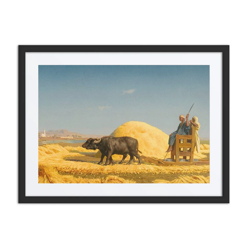 The Grain Threshers, Egypt