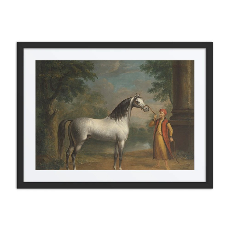 The Grey Arab Stallion ‘The Lister Turk’