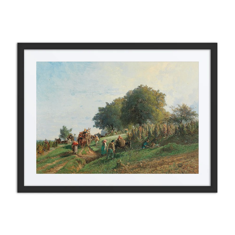 The Harvest