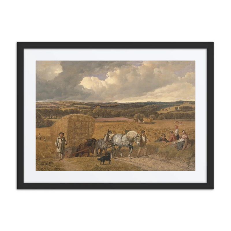 The Harvest