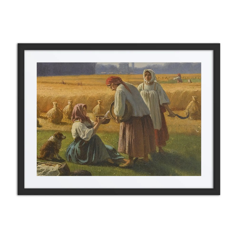 The Harvest