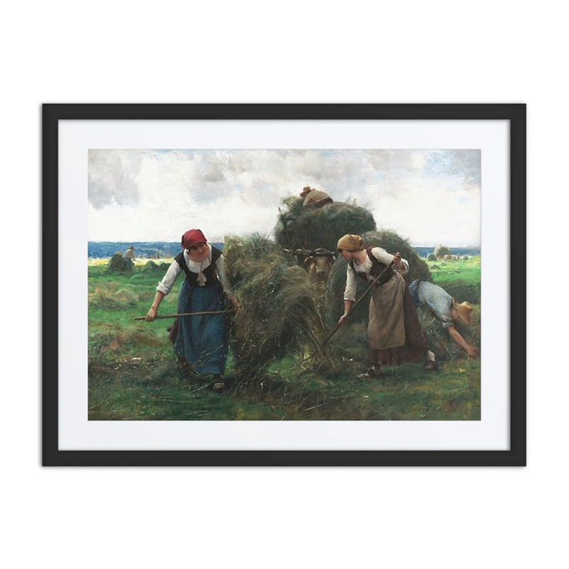 The Hay Harvester