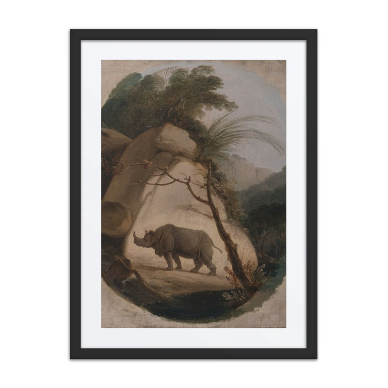 The Indian Rhinoceros