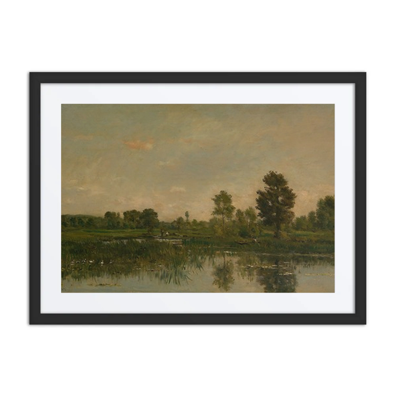 The Marsh