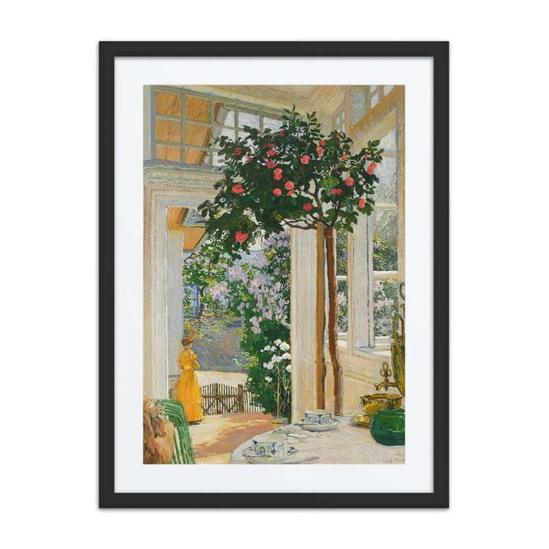 The May Sunlight