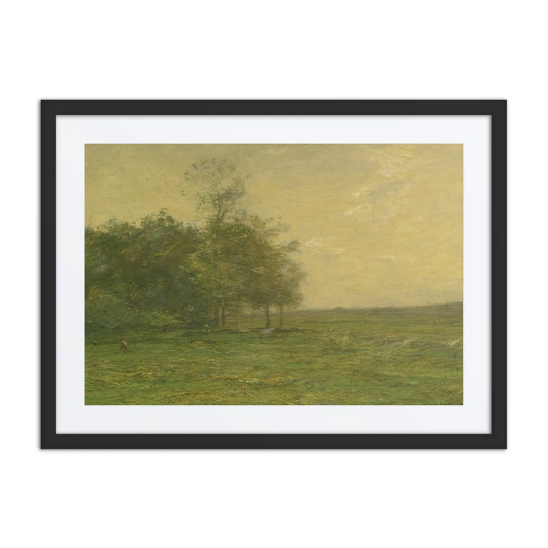 The Meadow