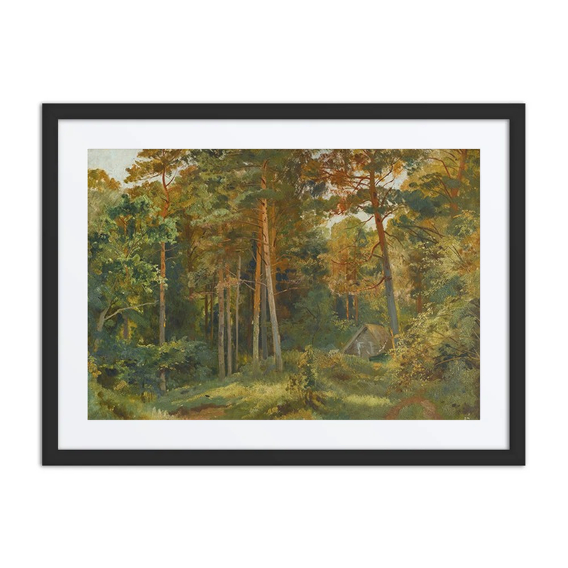 The Mill in the Forest