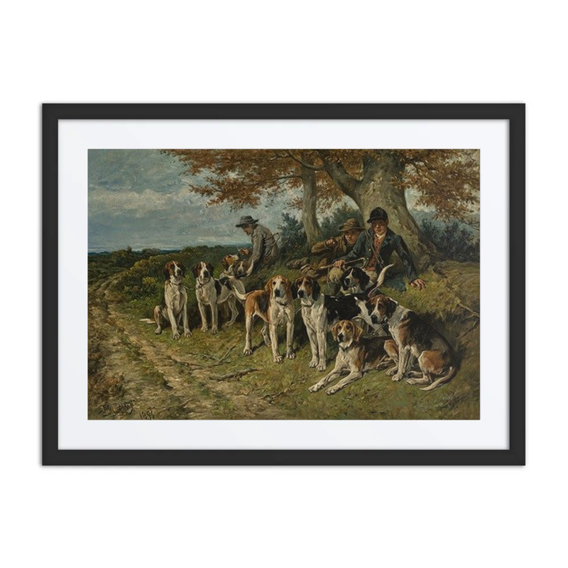 The New Forest Buckhounds