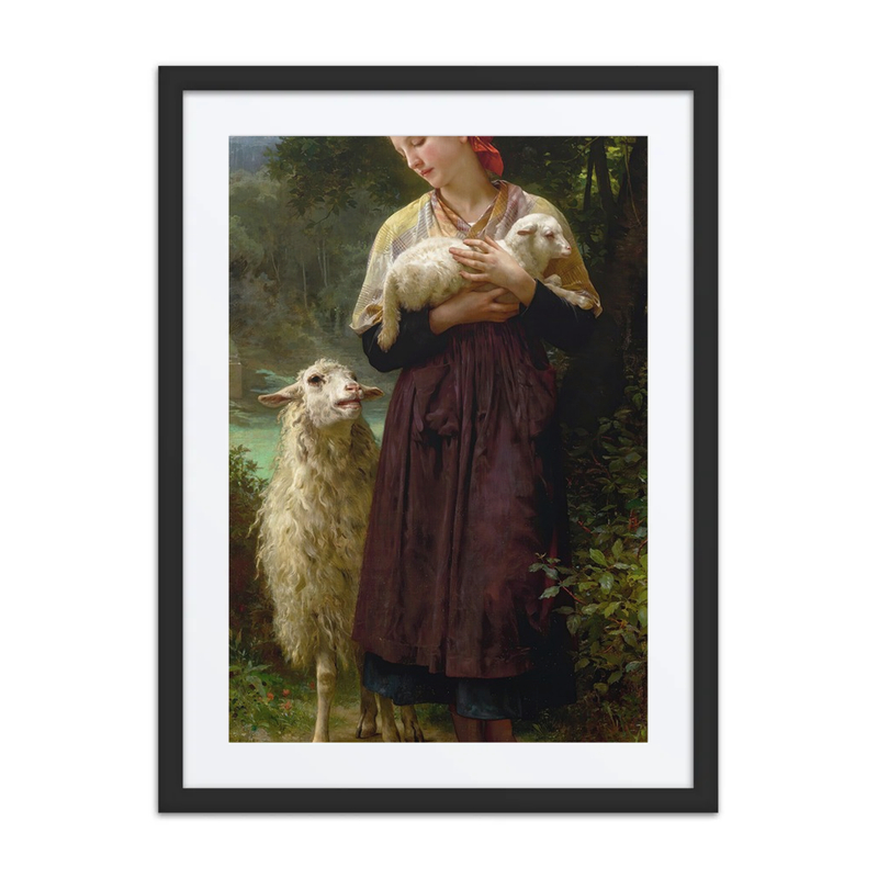 The Newborn Lamb