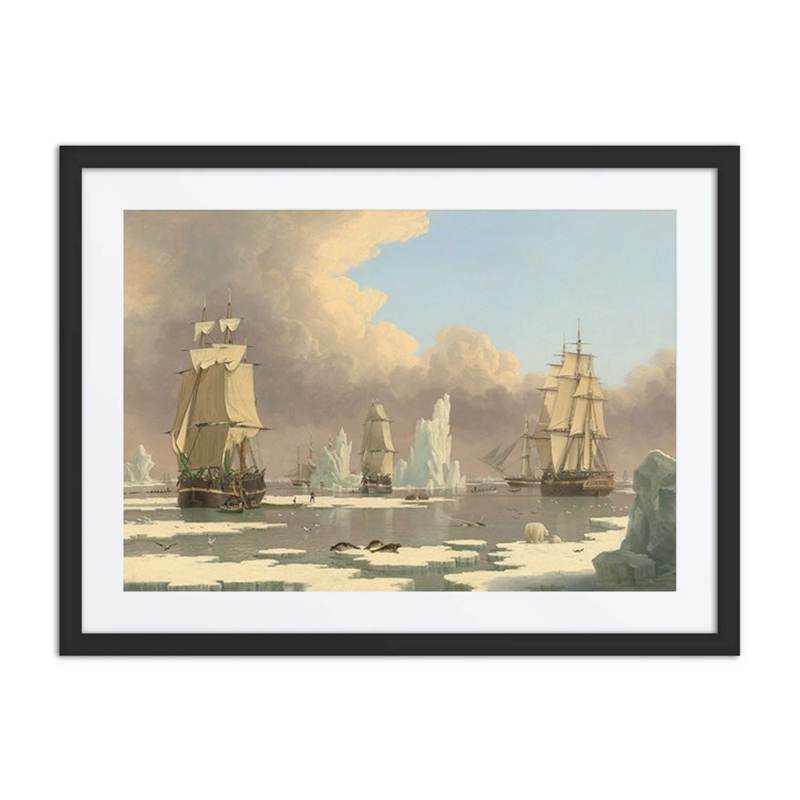 The Northern Whale Fishery; the ‘Swan’ and ‘Isabella’