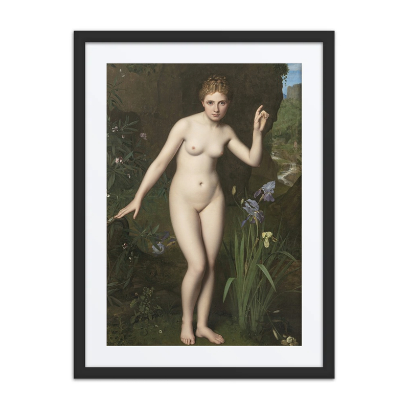 The Nymph Echo